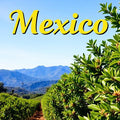 Mexico Coffee Pods